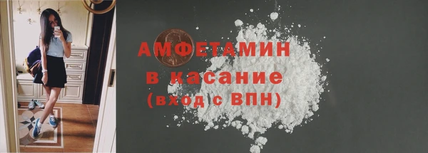 сатива Россошь