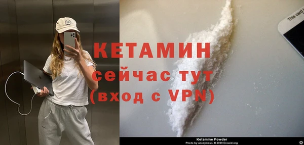 сатива Россошь