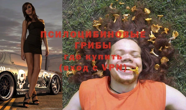 МДПВ Рославль
