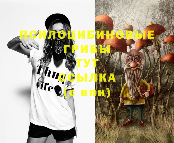 МДПВ Рославль