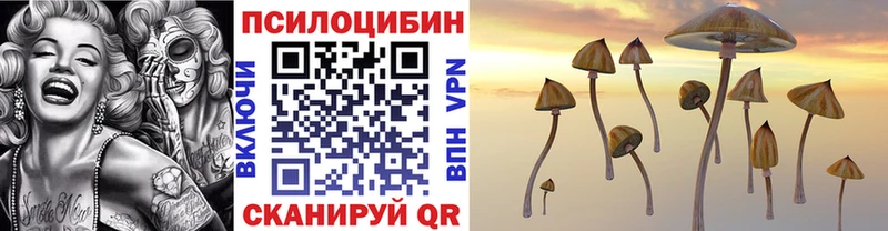 Галлюциногенные грибы Psilocybine cubensis  Аркадак 